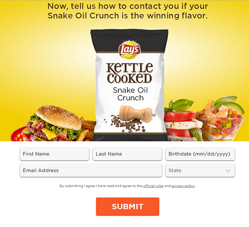 lays viral marketing lead caputre demographics